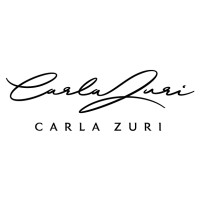 Carla Zuri logo - Similar company to Idmnet