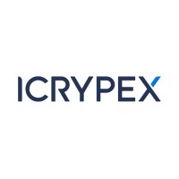 ICRYPEX Kripto Varlık Alım Satım Platformu logo - Similar company to Bitay