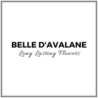Belle d'Avalane logo - Similar company to Culivier