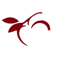 Core Tribute Foundation logo - Similar company to Dani Alternative Tours