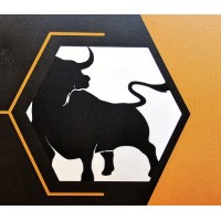 No Bull Business Coaching logo - Similar company to No Bull Digital