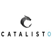 Catalisto logo - Similar company to Maidar Secure