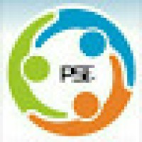 PAK Shine Enterprises logo - Similar company to Pakshine