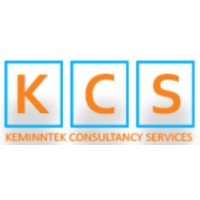 Keminntek Consultancy Services logo - Similar company to Amplify Life India