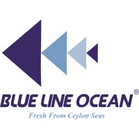 Blue Line Ocean Limited logo - Similar company to Solar Joint