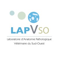 LAPVSO logo - Similar company to Labogena Dna