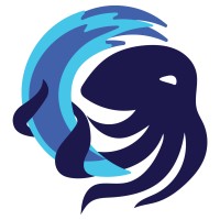 BondInWater logo - Similar company to Studio Marobi