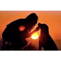 Dog Lovers logo - Similar company to Future Engineering Innovations