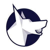 DataFetch logo - Similar company to The Novus Group