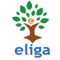 Eliga Innovative Services logo - Similar company to Tech Mantra Innovations Pvt Ltd.
