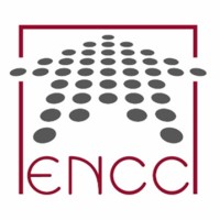 Egyptian National Competitiveness Council logo - Similar company to Bridge-Asia Financial Services