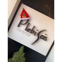 PLEBISCIS logo - Similar company to Pact Afrique
