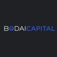 BODAI CAPITAL logo - Similar company to Redfern Academy