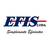 EFIS Limitada logo - Similar company to Efis