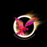 Phoenix Global Resettlement Services Pvt Ltd logo - Similar company to Opt Solutions