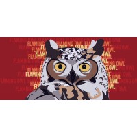 Flaming Owl Consulting Group logo - Similar company to Summit Automation