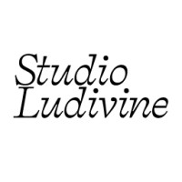 Studio Ludivine logo - Similar company to Studio Émergence