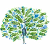 Peacock Voices logo - Similar company to Fintech Center Nepal