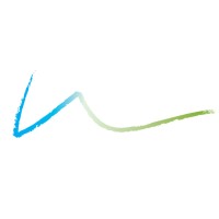 Visser & Partners Attorneys logo - Similar company to Paizes Attorneys Inc