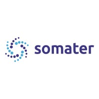 somater logo - Similar company to Anl Packaging