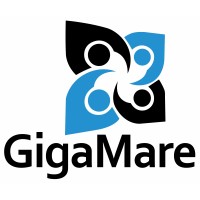 GigaMare Inc. logo - Similar company to Gp Care Solutions