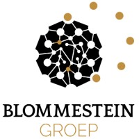 Blommestein Groep logo - Similar company to Techmedic Managed It Services
