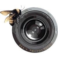Bee's Photography logo - Similar company to Recent Coffee Roasters