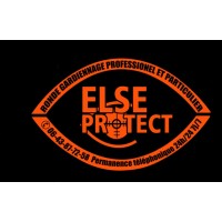 SARL ELSE PROTECT logo - Similar company to Team Pulse