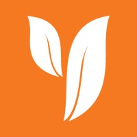 Yim Tea Co.