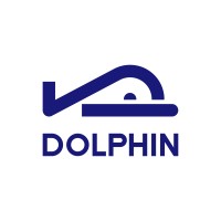 Dolphin Connect logo - Similar company to Bitaffix