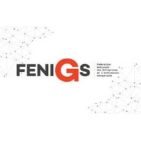 FeniGs logo - Similar company to Westelecom