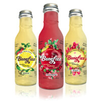 Benefizz: Sparkling Probiotic Drink logo - Similar company to Otherfoods Kitchen