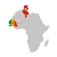 CTSCI - Chambre Tuniso-Sénégalaise de Commerce et d'Industrie logo - Similar company to Yanvestee
