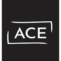ACE Real Estate Investments logo - Similar company to Umb Group Bv
