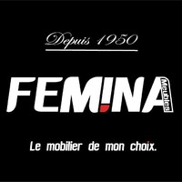 MEUBLES FEMINA logo - Similar company to Elys Meubles