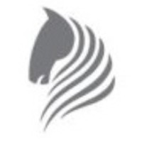 CASTLING IT SOLUTIONS PRIVATE LIMITED logo - Similar company to Insta9 Innovative Technologies Pvt Ltd