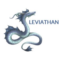 Leviathan Consulting Limited logo - Similar company to Altor Fire Limited