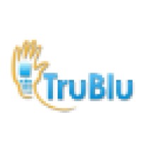 TruBlu Consulting logo - Similar company to Zone X Mobility Solutions