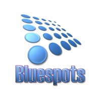 Bluespot Enterprises logo - Similar company to Vj Infotech