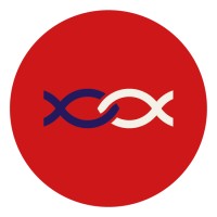 AKANEMA logo - Similar company to Linkup Api