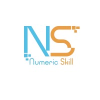 Numericskill logo - Similar company to Mg-Tech Software And Communication Solution