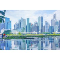 Single Family Office, Singapore logo - Similar company to Ancilla Technology