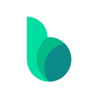Byznis logo - Similar company to Lubna.Io