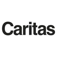 Caritas Tirol logo - Similar company to Cellgenius Gmbh
