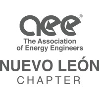 AEE Nuevo Leon Chapter logo - Similar company to Box Container