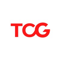 Tiger Consulting Group logo - Similar company to Boill (Aust) Pty Ltd