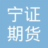 南证期货有限责任公司 logo - Similar company to Forza Group Bv