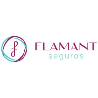 Flamant Seguros logo - Similar company to Marei Móveis