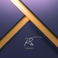 Rachel Shaffer logo - Similar company to Lux Informatique