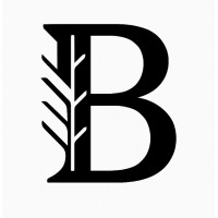 Blenheim Street Advisors logo - Similar company to Sifore Technical Sales